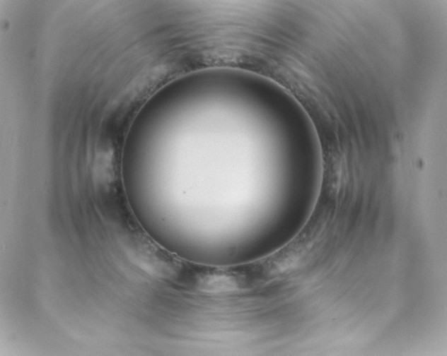 X0000089460224200706151442