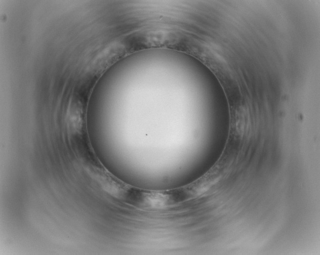 X0000089460226200706151442