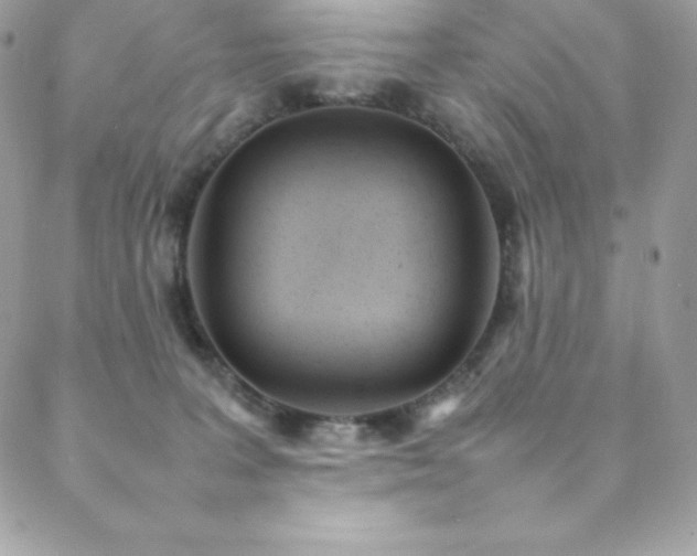 X0000089460227200706151442
