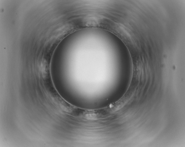 X0000089460228200706151442
