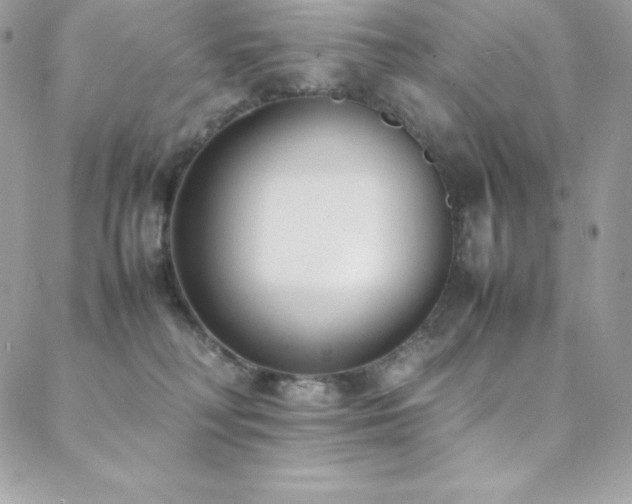 X0000089460230200706151442