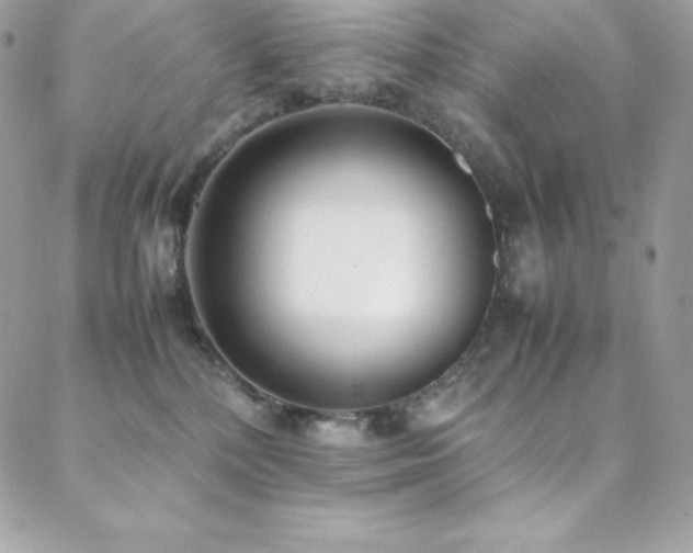 X0000089460232200706151442