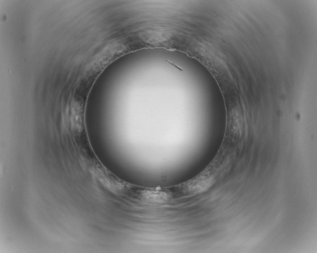 X0000089460234200706151442