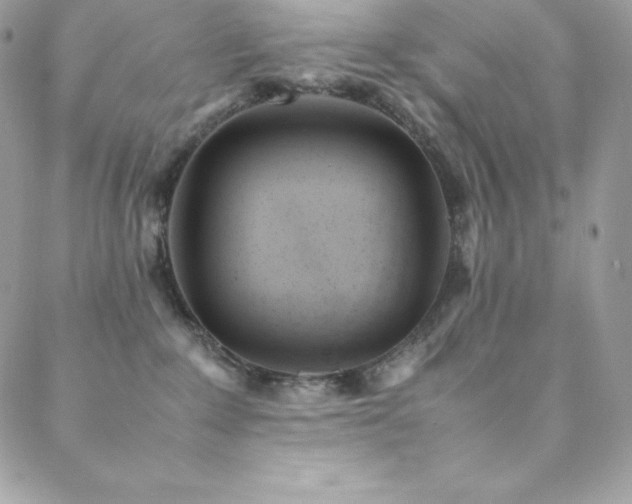 X0000089460235200706151442