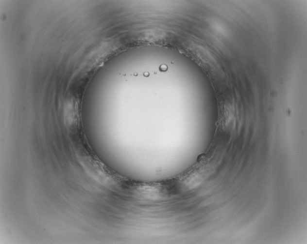 X0000089460236200706151442
