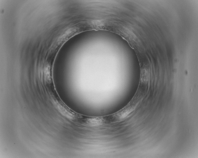 X0000089460238200706151442