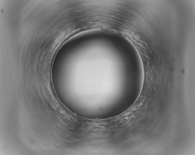 X0000089460241200706151441