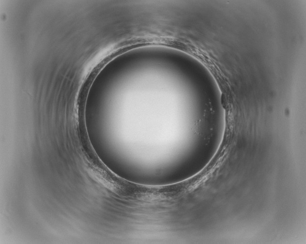 X0000089460246200706151441