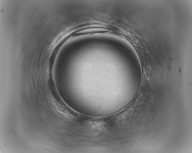 X0000089460247200706151441