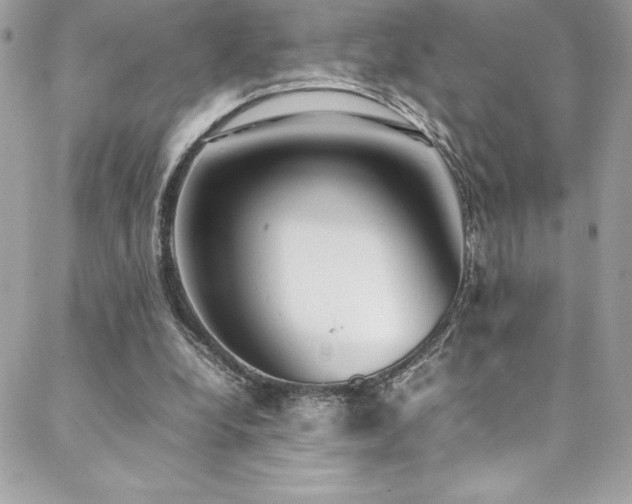 X0000089460248200706151441