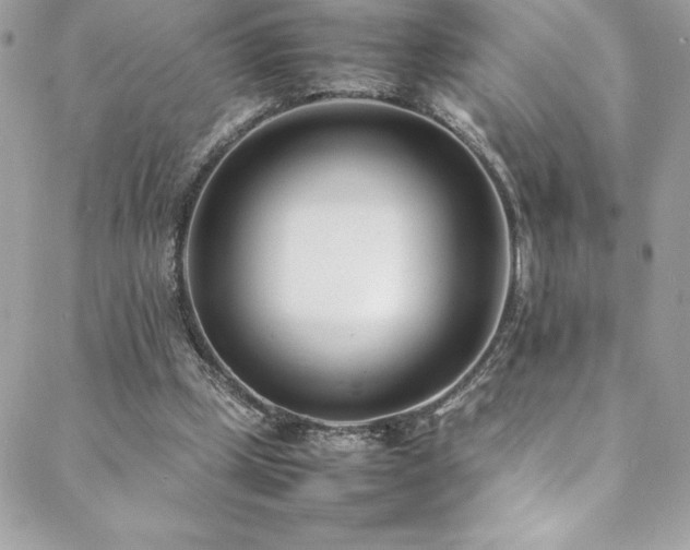 X0000089460249200706151441
