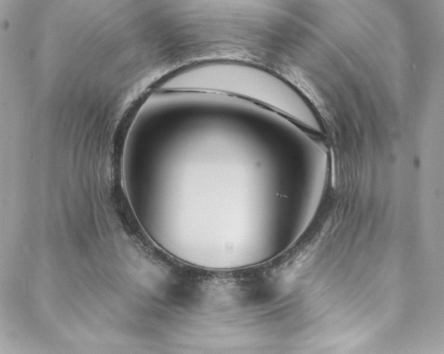 X0000089460252200706151441