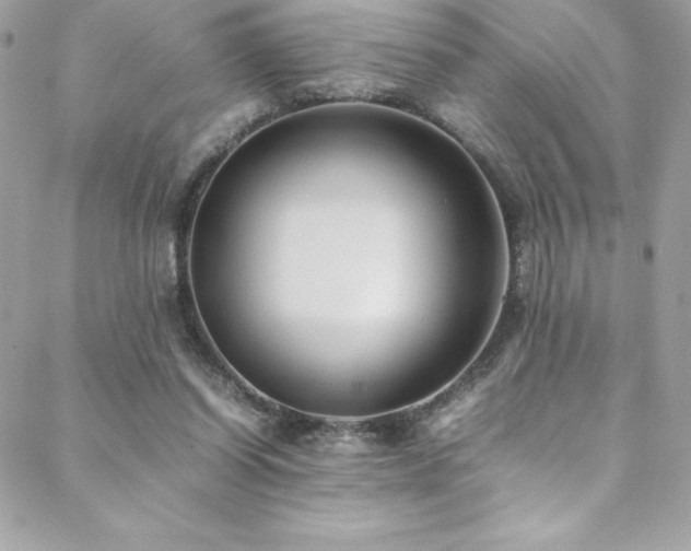 X0000089460254200706151441