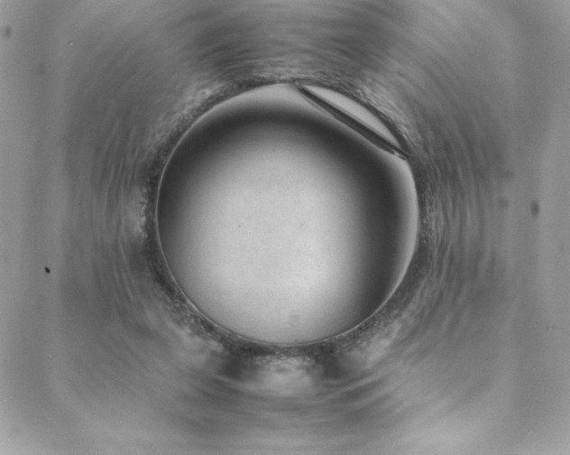 X0000089460255200706151441