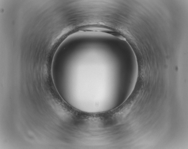 X0000089460256200706151441