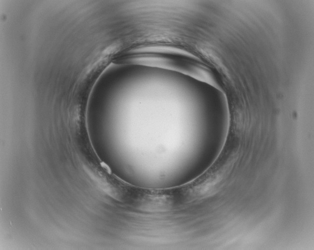 X0000089460260200706151441