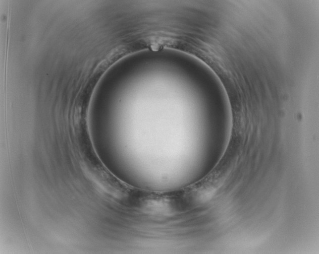 X0000089460263200706151441