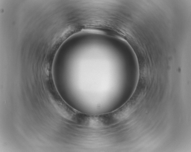 X0000089460264200706151441