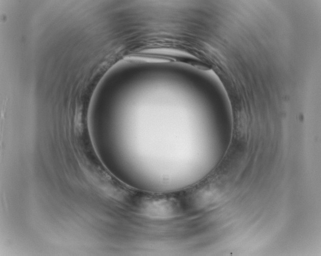 X0000089460267200706151441