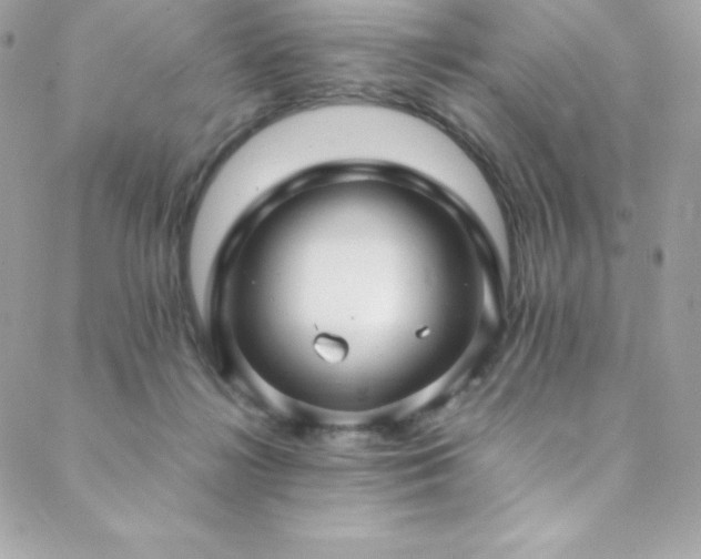 X0000089460268200706151441