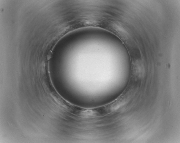 X0000089460269200706151441