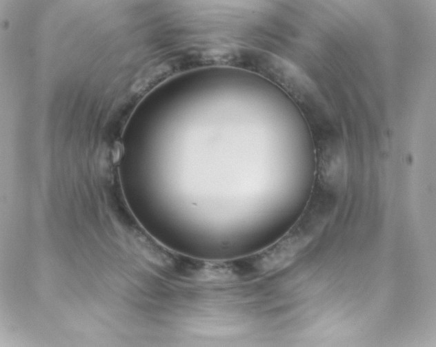 X0000089460270200706151441