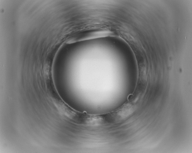 X0000089460274200706151441