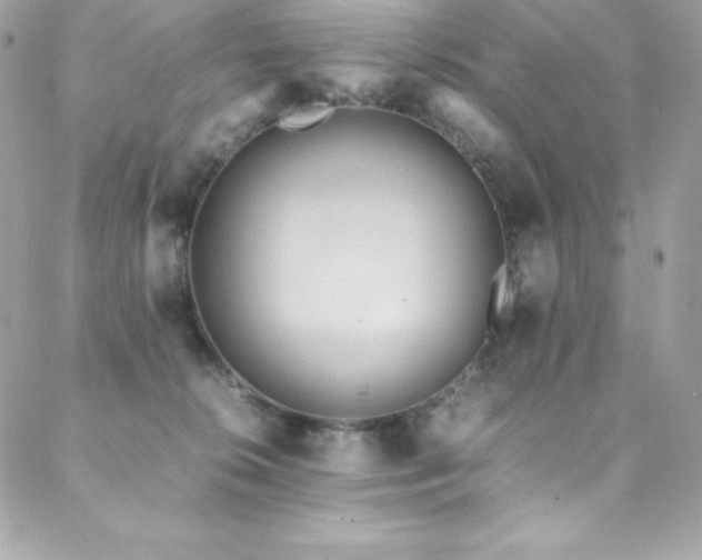 X0000089460276200706151441