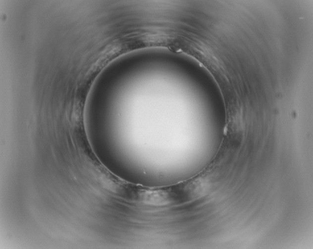 X0000089460277200706151441