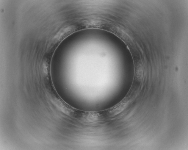 X0000089460282200706151442