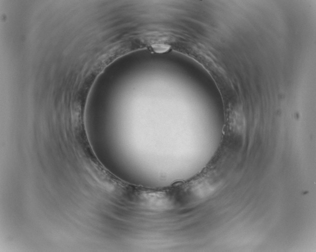 X0000089460283200706151442