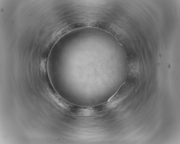 X0000089460286200706151442