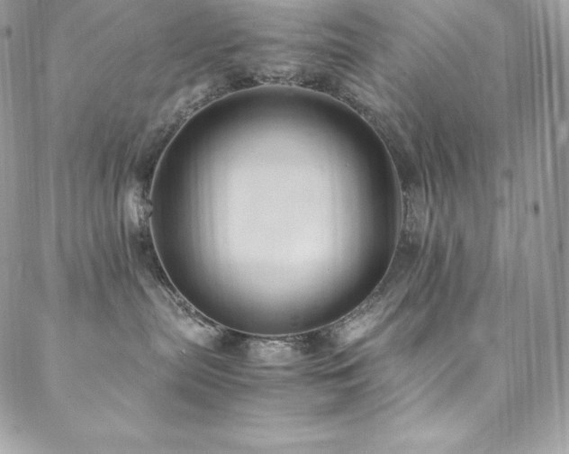 X0000089460287200706151442