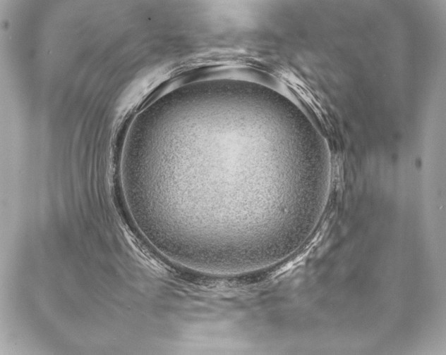 X0000089460293200706151441