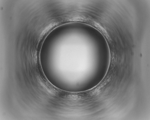 X0000089460298200706151441