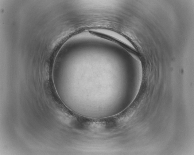 X0000089460303200706151440