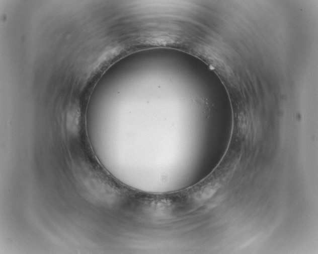 X0000089460304200706151440
