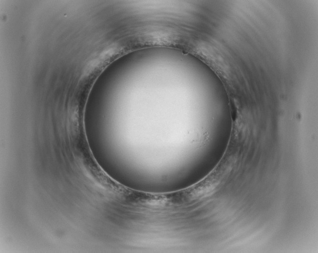 X0000089460306200706151440