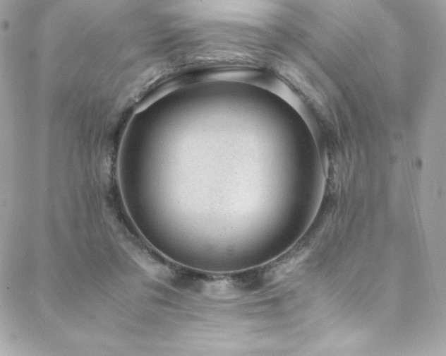 X0000089460309200706151440