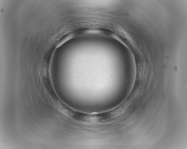 X0000089460313200706151440