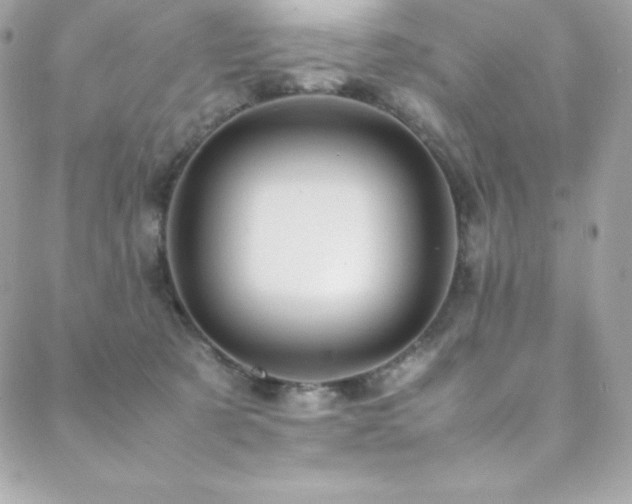 X0000089460321200706151440