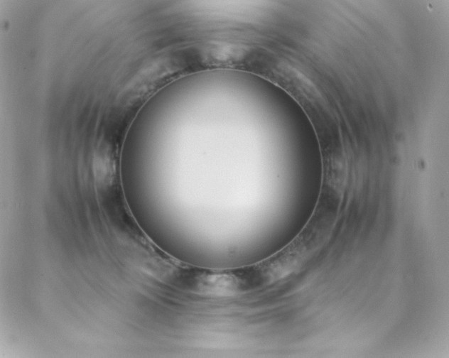 X0000089460324200706151440