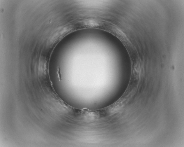 X0000089460330200706151440