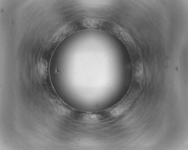 X0000089460332200706151440