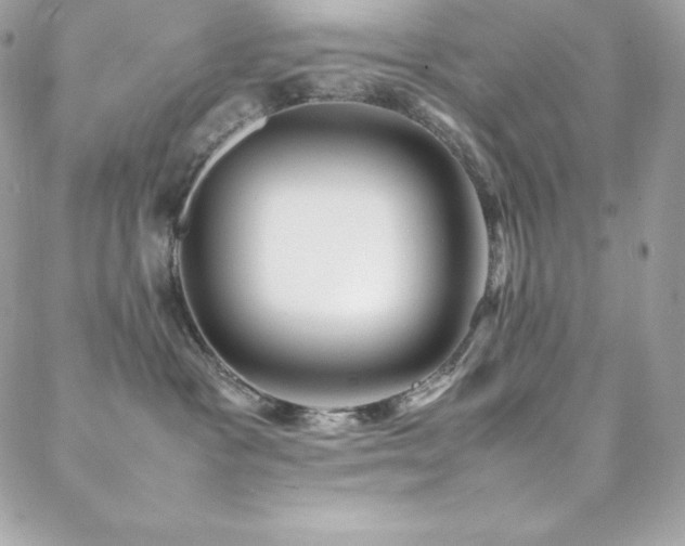 X0000089460333200706151440