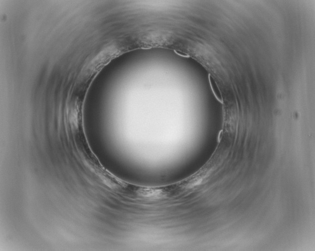 X0000089460334200706151440