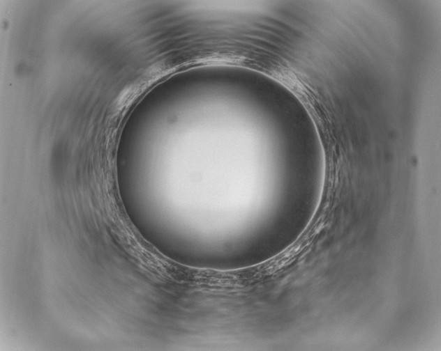 X0000089460337200706151439