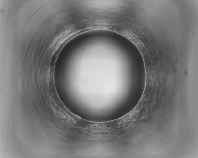 X0000089460338200706151439