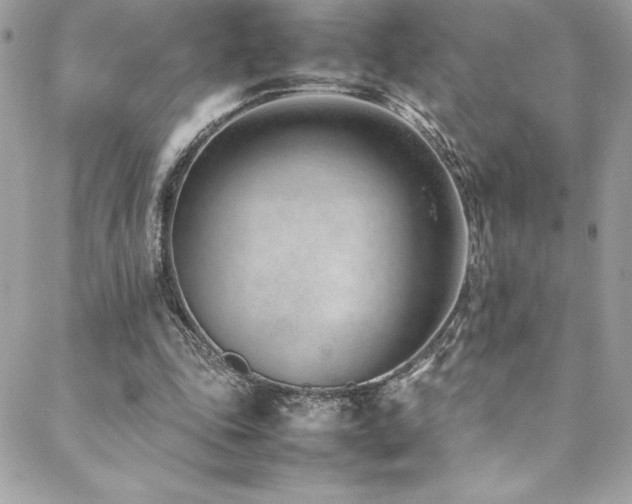 X0000089460343200706151439