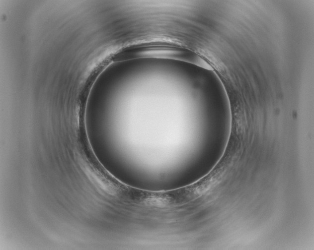 X0000089460350200706151439